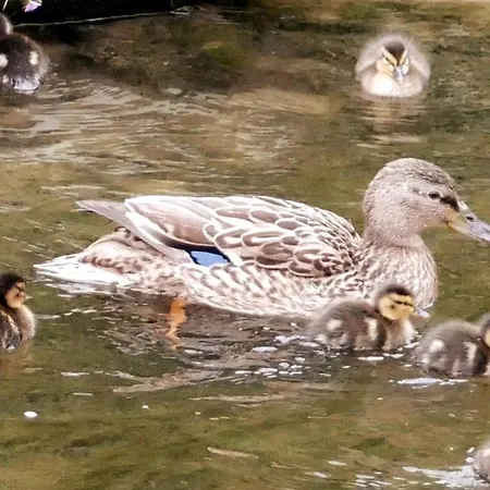 Appartement Casa Margherita *